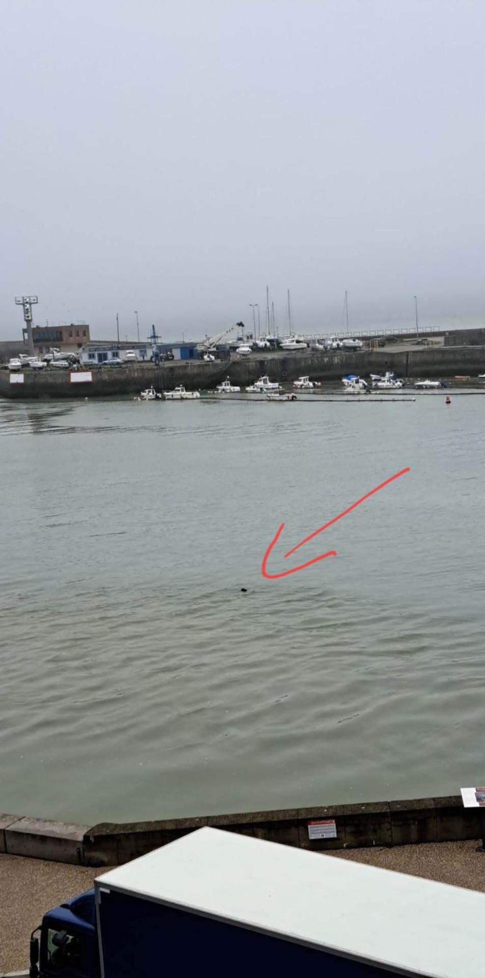 O'3 Ports Lägenhet Le Tréport Rum bild